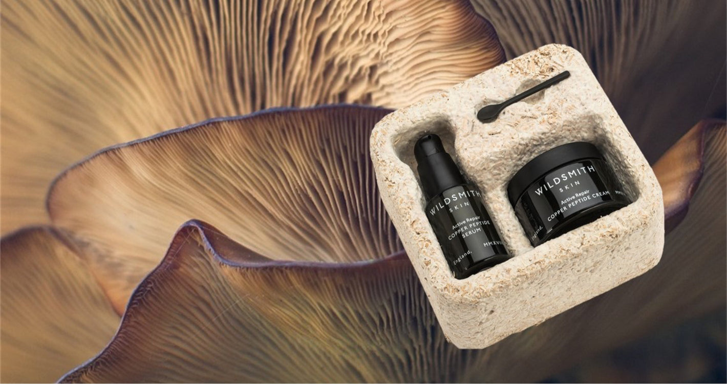Introducing Mycelium Packaging