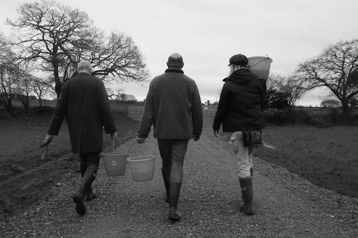 The Three Kings' Preparation