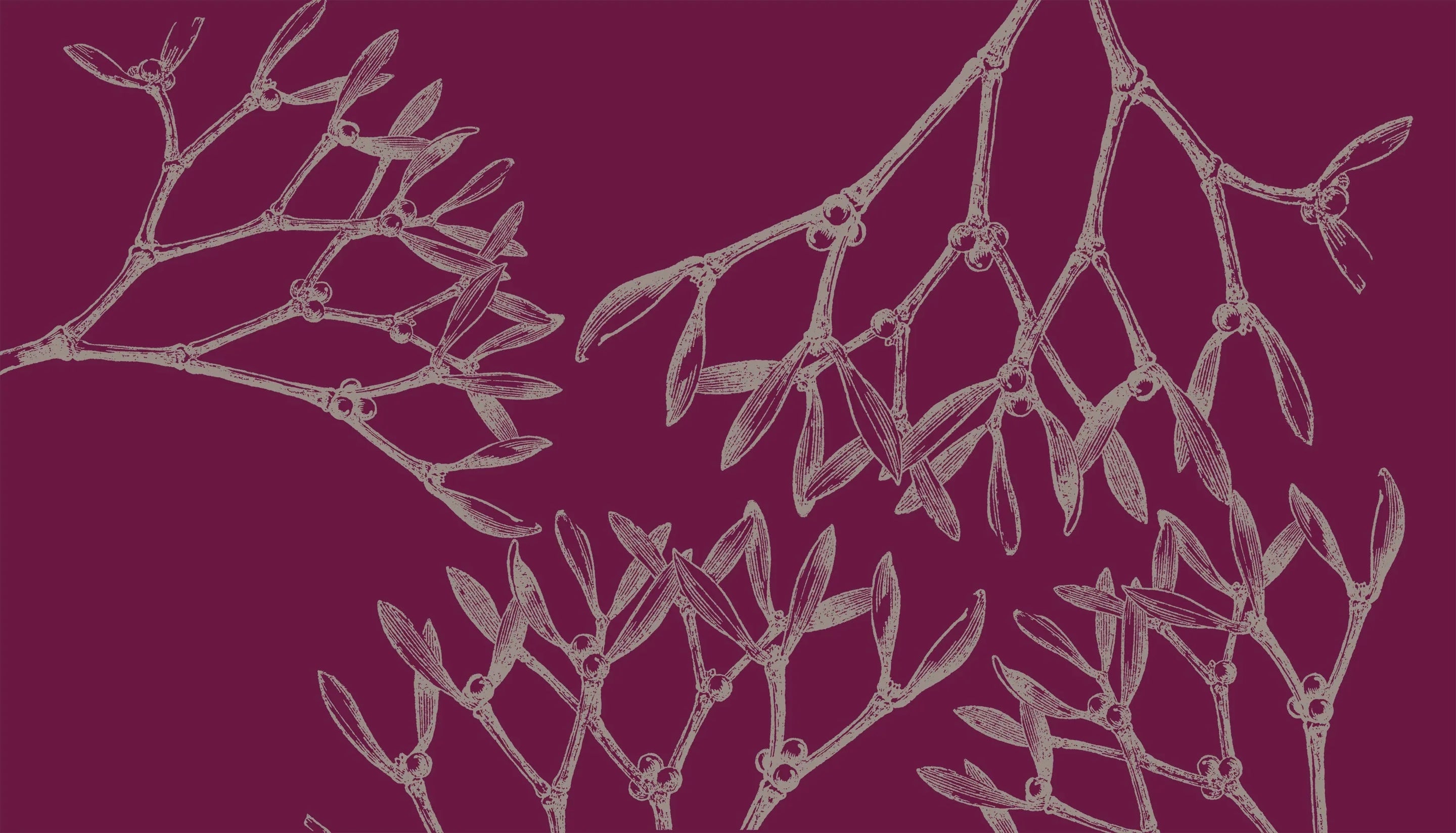 The Mistletoe Collection